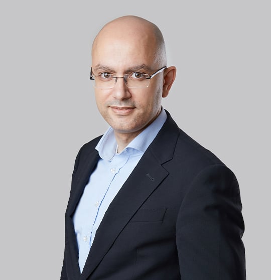 Photo of Raji Wahidy